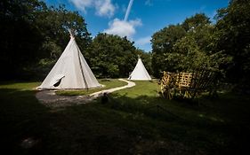 TIPI au LOGIS DE L'ESPOIR